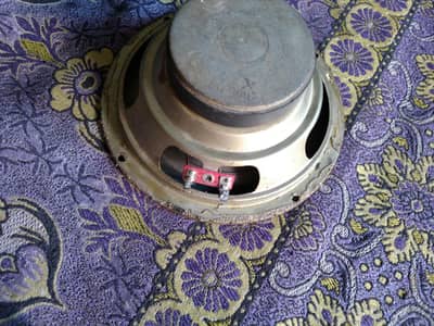 speaker 6 inch03112429386