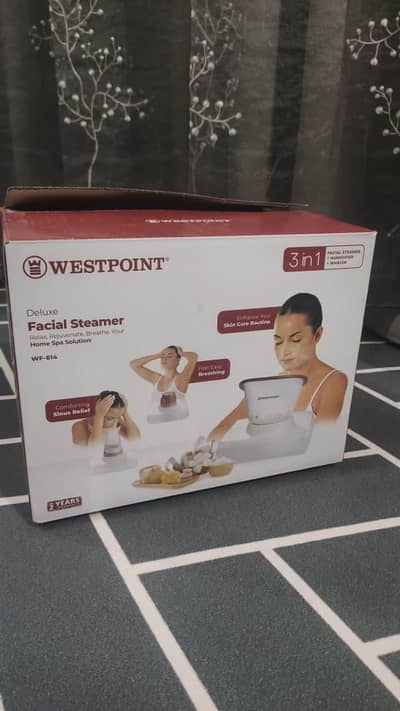 Facial Steamer