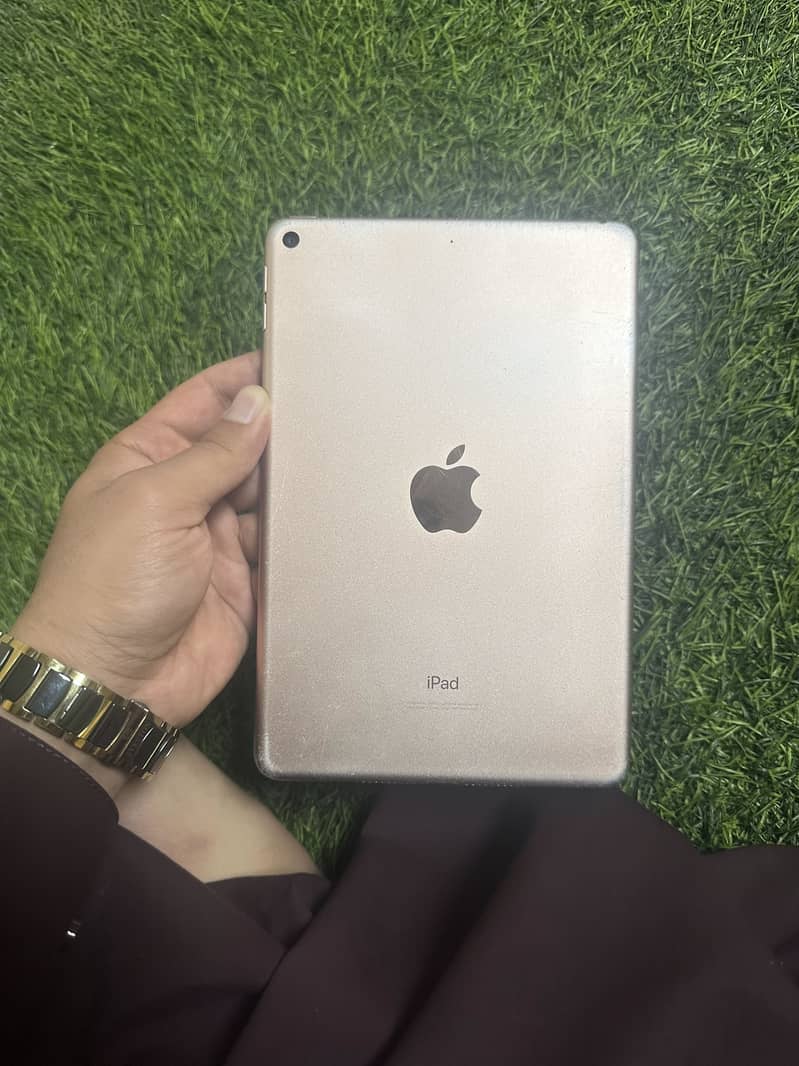 Ipad mini 5 0