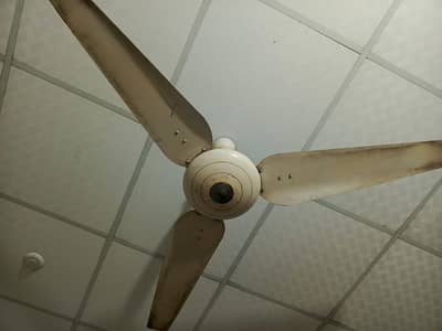 cooper ceiling fan heavy duty in working condition for sale