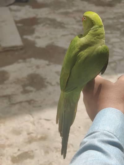 bhot achi cheez hn hand team hn