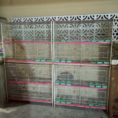 birds cages for sale