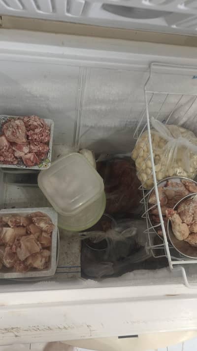 Double door jumbo size freezer