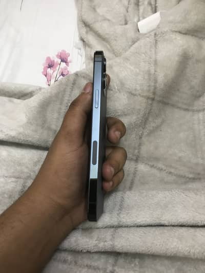 Iphone 12 pro max 256 gb