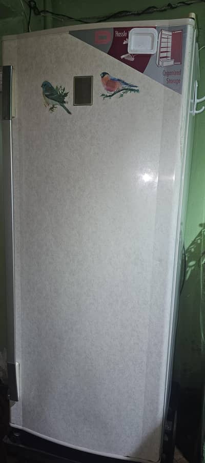 Vertical freezer for urgent sale