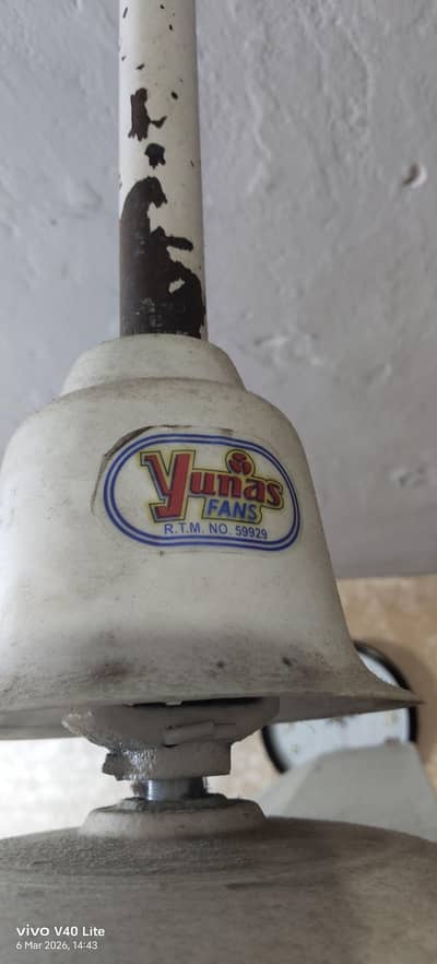 یونس فین نئی حالت اور چالو بھی ہے