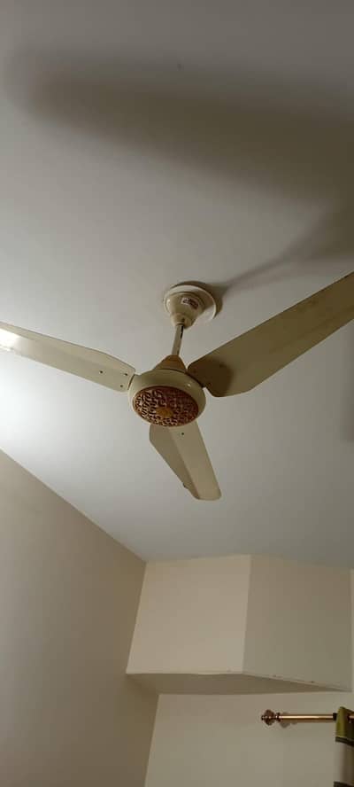 Fan for sale
