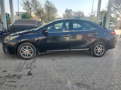 Corolla Gli 14/15 new shape