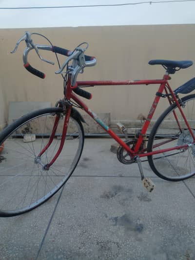 Cycle Bicycle imported racing cycle