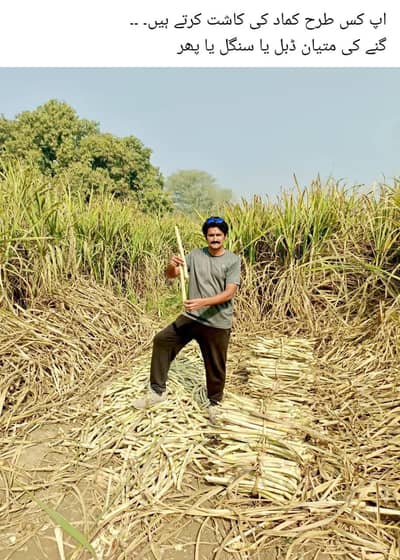 Toyota Hiace Trh214 dx