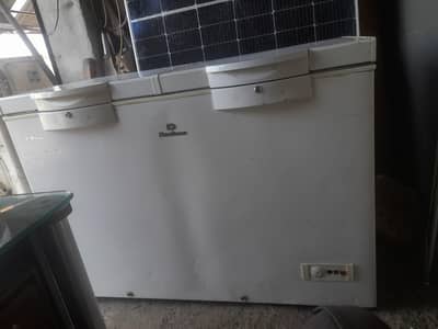 Double door freezer  Anergy sever