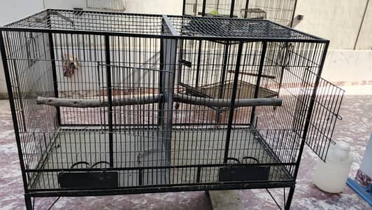 cages for Bird