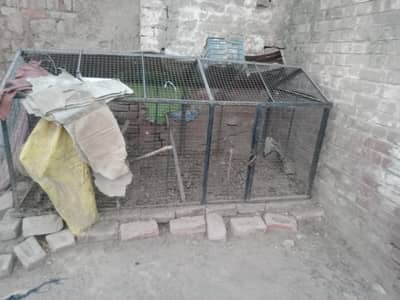 iron good cage best for hens