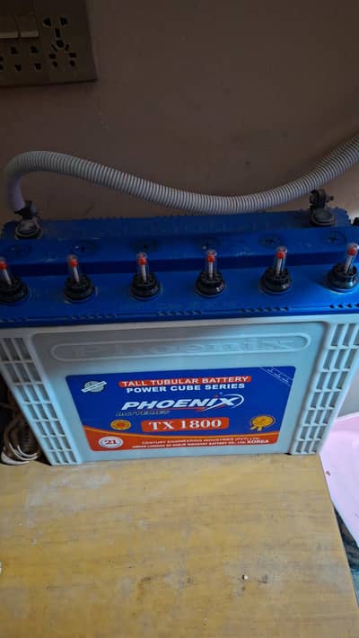 phoenix tall tabular 1800