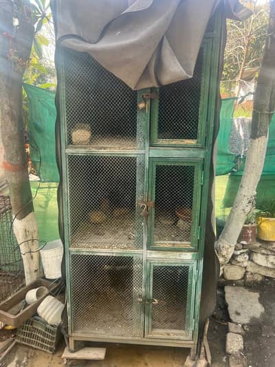 cage pingra in good condition urgent for sale