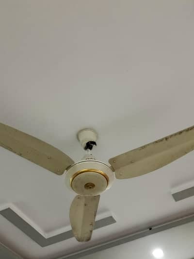 5 Fans hen bilkul okay fori sale