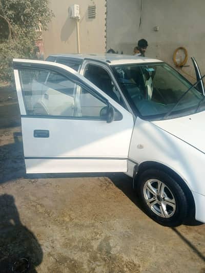 beautiful Cuktus for sale