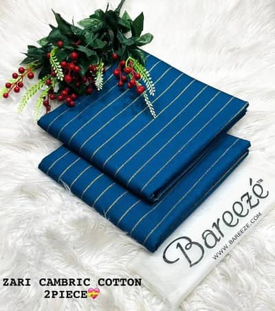 2 pic for women cloths