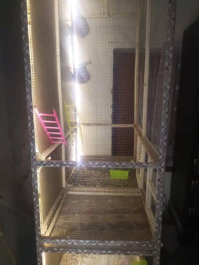 birds cage