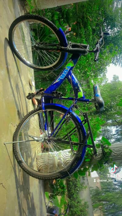 Blue Sports Bicycle – Good Condition