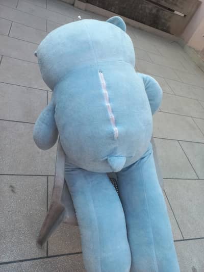 Teddy bear  for sale