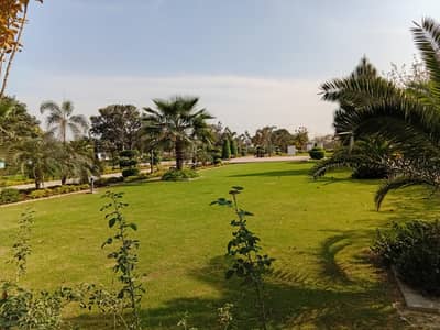 apartment,rental income  45000