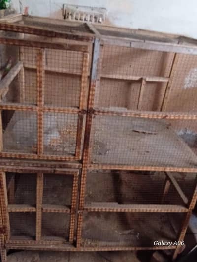 hen cage double portions