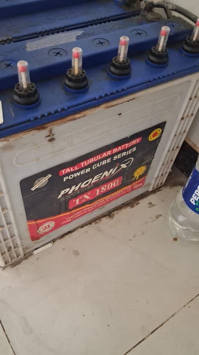 phoenix tall tubular 4 batteries