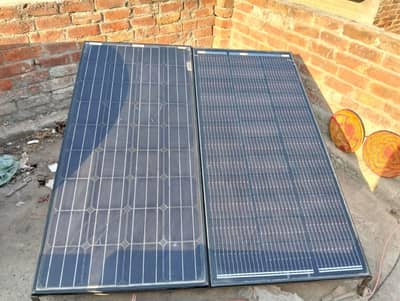 solar plate 12 wolat for sale