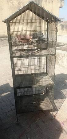 3 Portion Cage for Sale