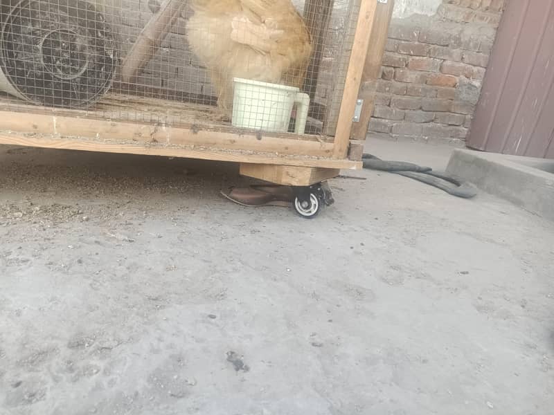 مضبوط پنجرہ ہے خود تیار کروایا بڑے سائز کے ٹائر لگے  ہیں 1