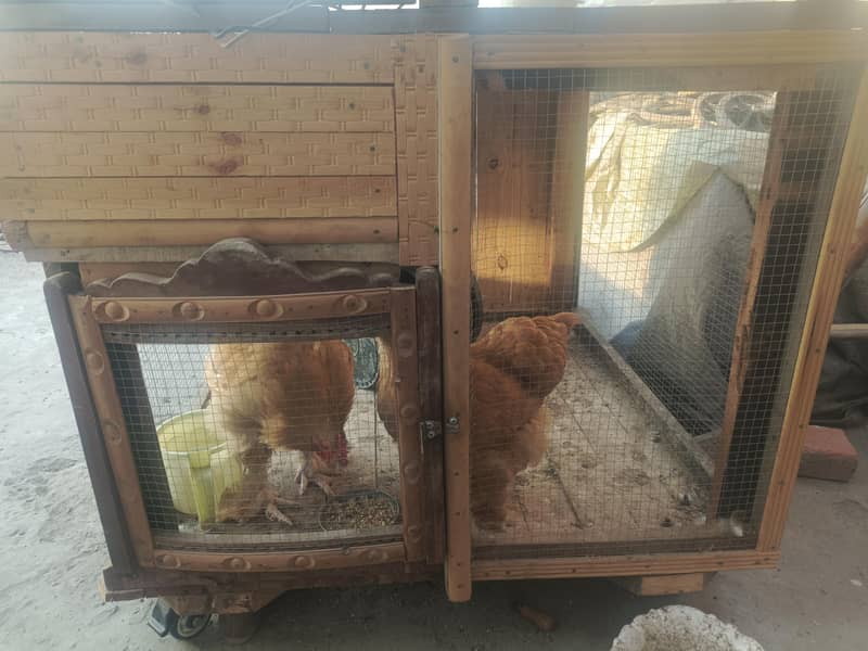 مضبوط پنجرہ ہے خود تیار کروایا بڑے سائز کے ٹائر لگے  ہیں 2