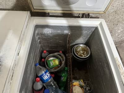 Double door freezer haier