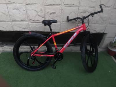 HKL Super 22" Bicyle