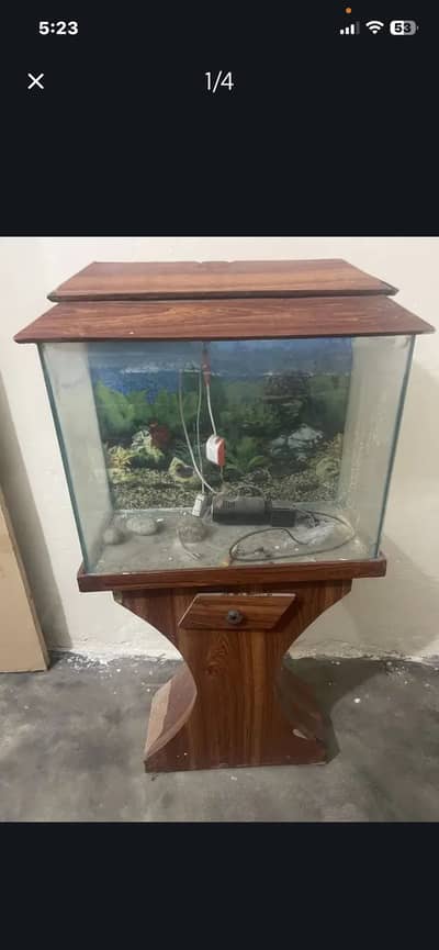Fish tank accessories