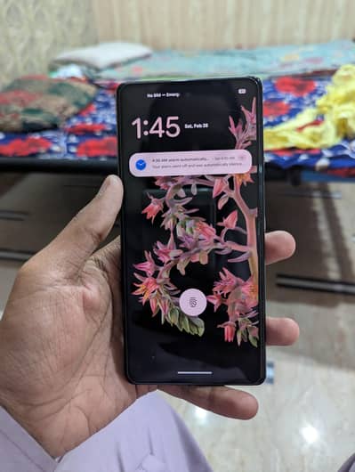 Pixel 6 Pta approved