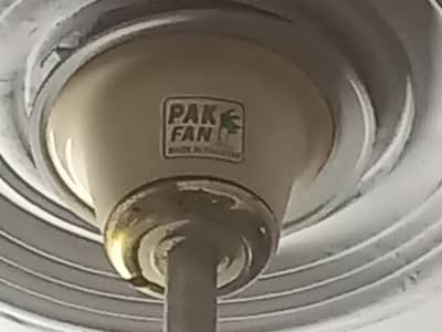 pak fan