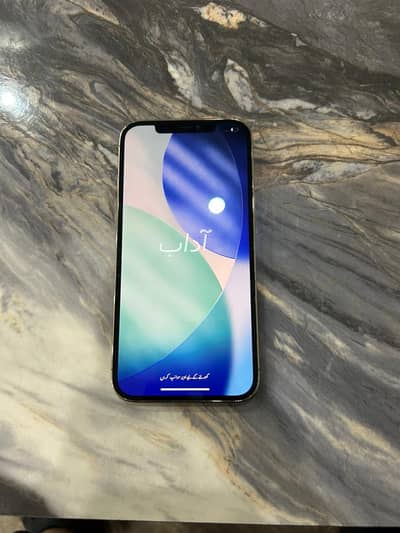 apple iphone 12 pro max 256 gb pta approved