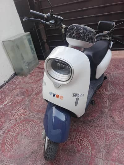 Evee. . . Nisa. . . . White Colour. . .