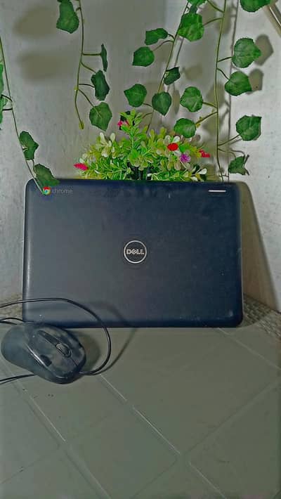 chrome book Dell 2/16