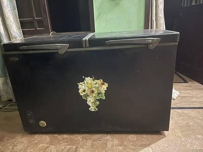 waves 2 door freezer