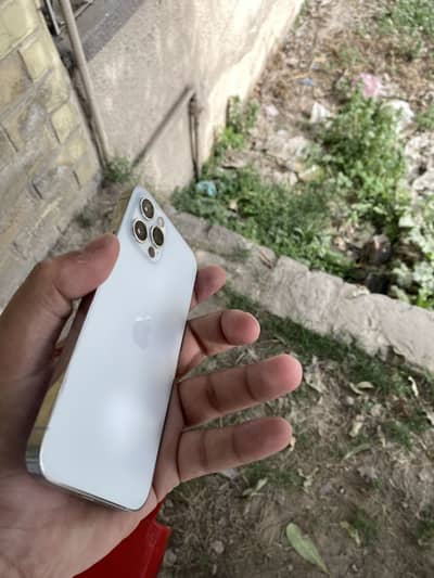 Iphone 12 pro read ad