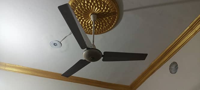2 celling Fans For Sale