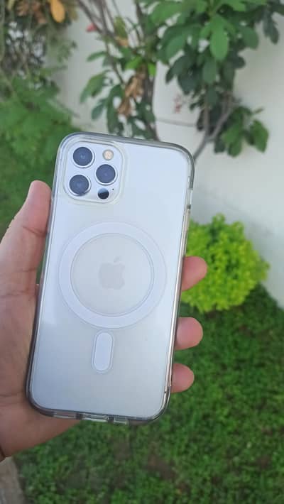 PTA approved 12 pro 128gb iphone