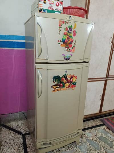 pel fridge large size