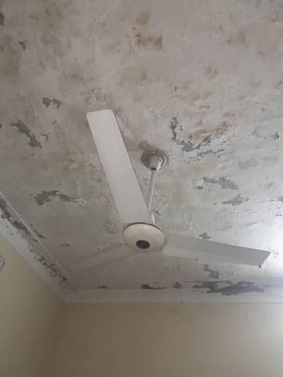 Royal Fan 100% Copper