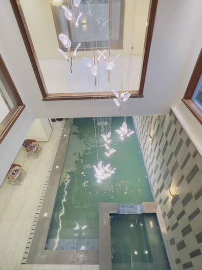 Stunning Brand New 500 Yards Bungalow is Available For Rent With Swimming Pool Or Basement