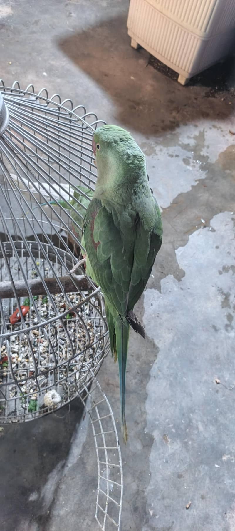 Raw pair read description 3