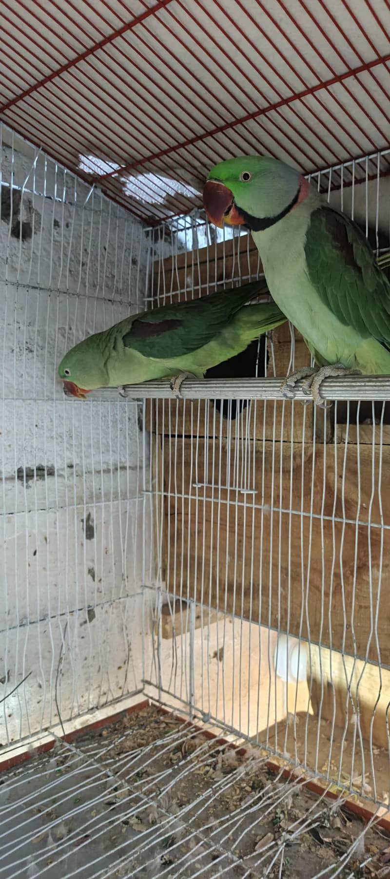 Raw pair read description 7