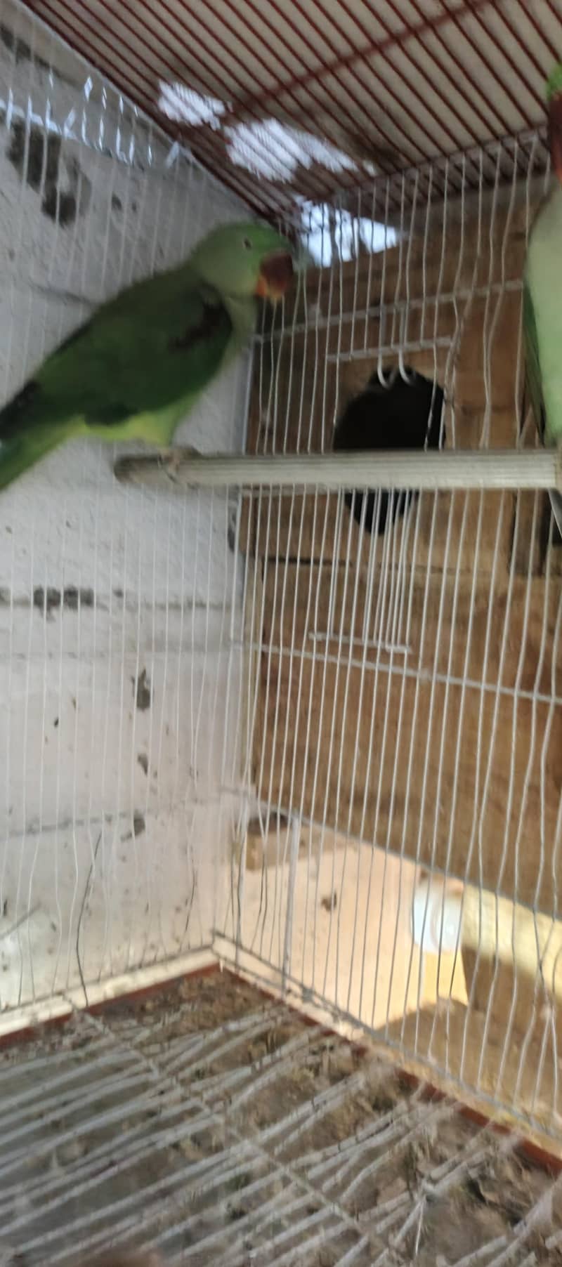 Raw pair read description 8